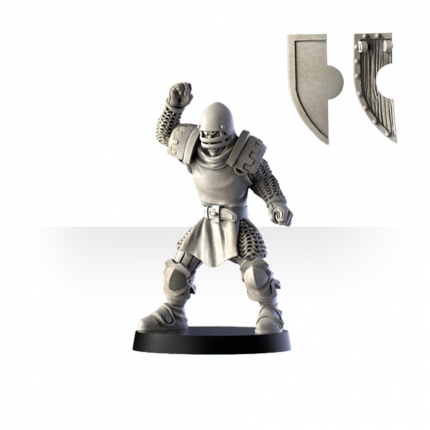Imperial Army - Team Bundle | Custom Fantasy Football Miniatures